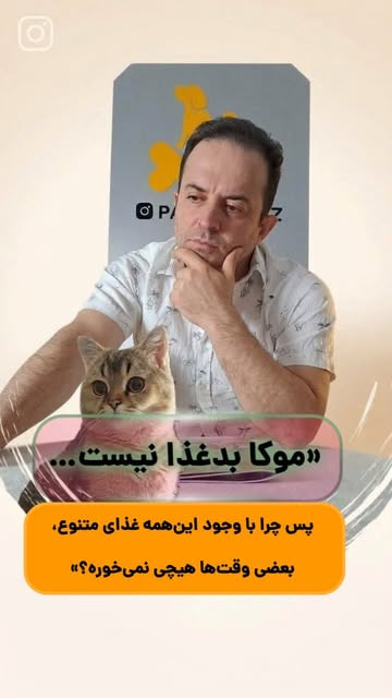 آموزشی و بی اشتهایی گربه ها